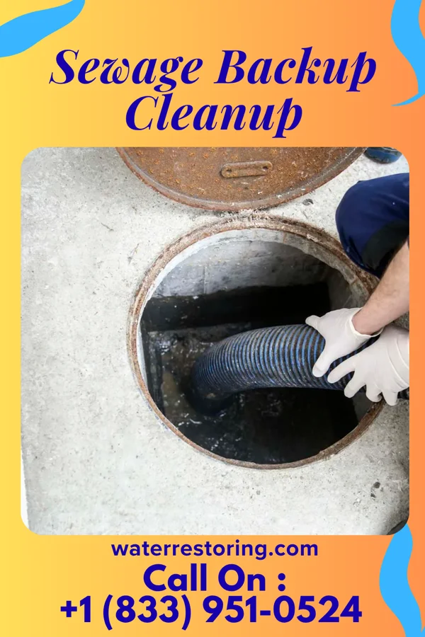 Sewage Backup Cleanup in Baiting Hollow, NY