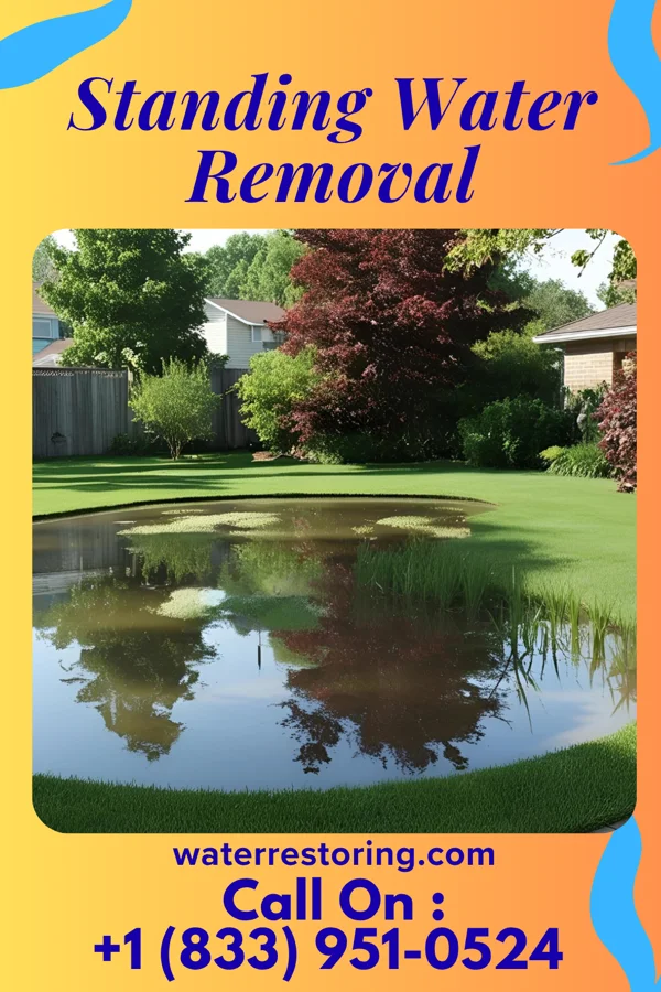 Standing Water Removal in Baiting Hollow, NY